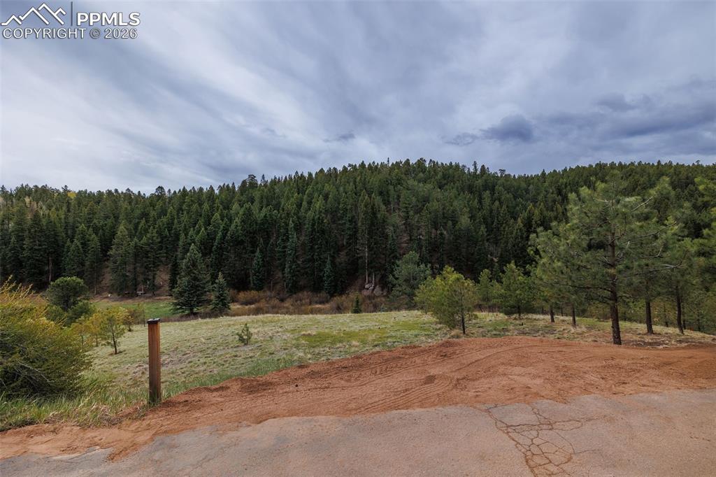 521 University Dr., Woodland Park, CO 80863