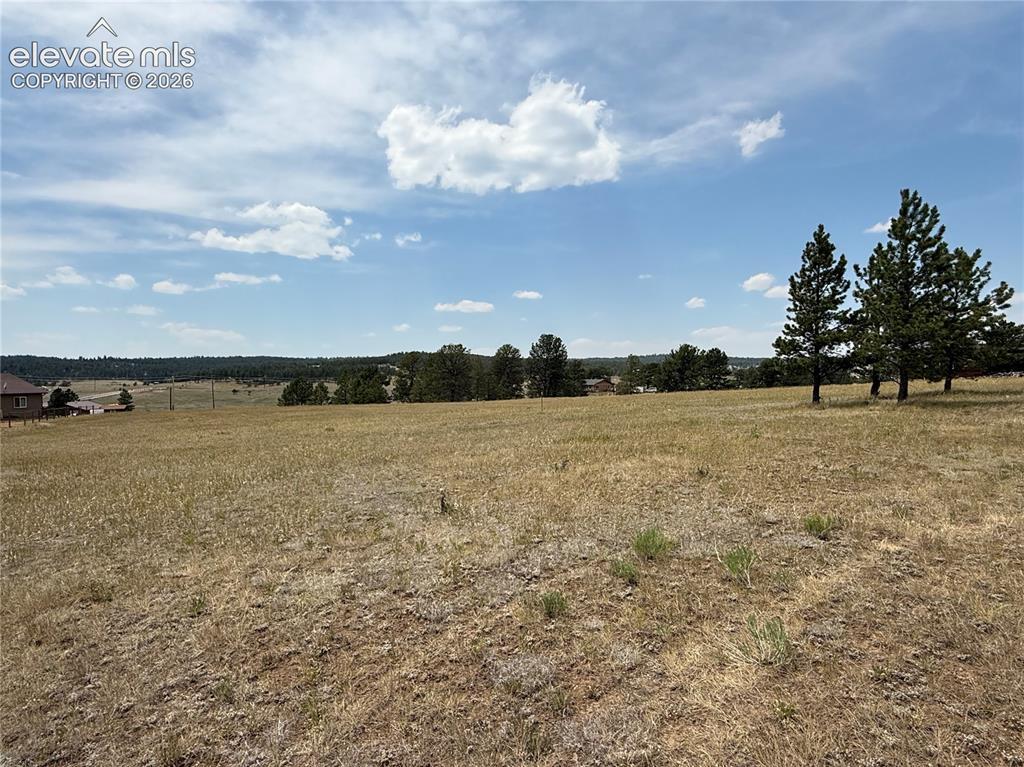 350 High Pasture Rd., Florissant, CO 80816