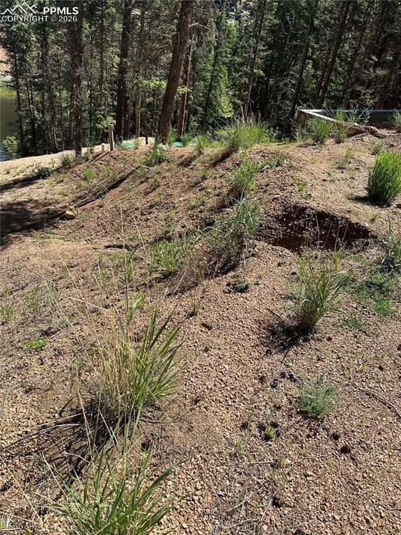 67 Gerka Ln., Florissant, CO 80816