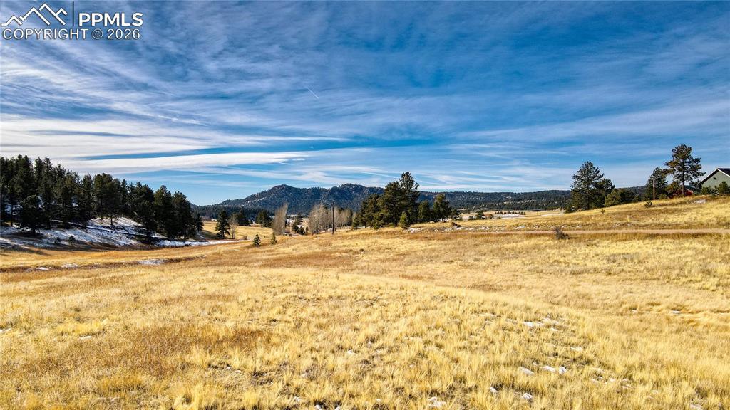 150 High Pasture Rd., Florissant, CO 80816