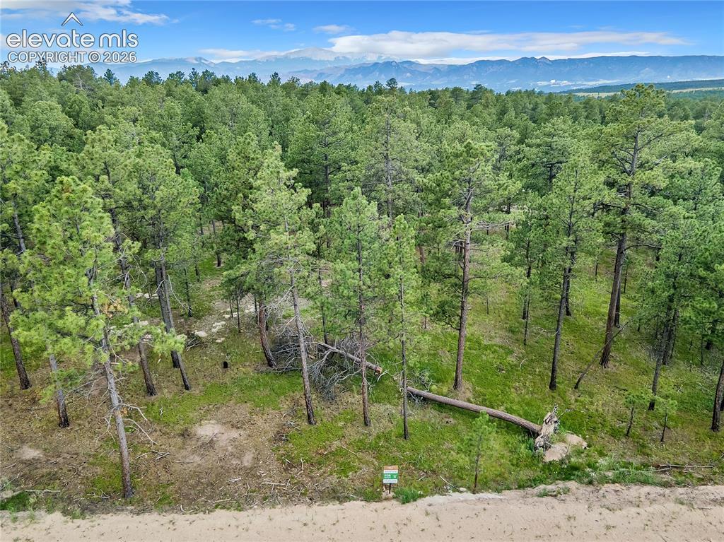 14864 Bourbon Ct., Colorado Springs, CO 80908
