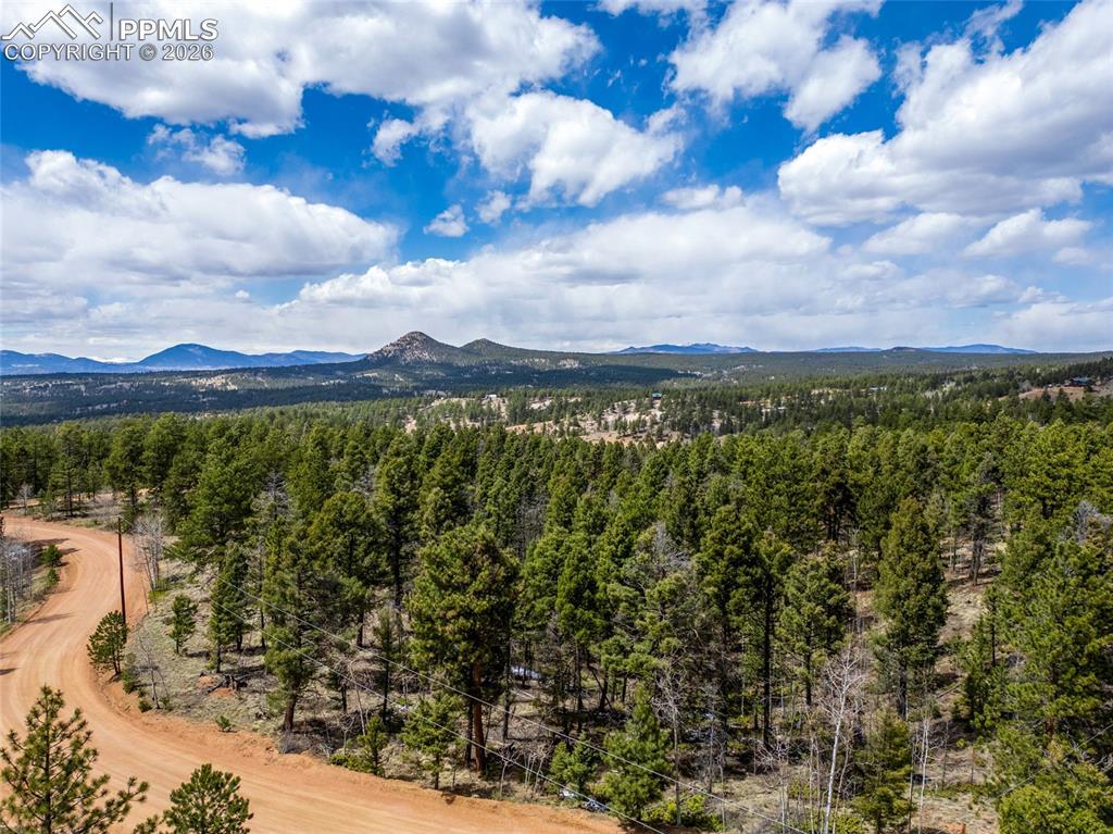451 Chipeta Creek Tr., Florissant, CO 80816