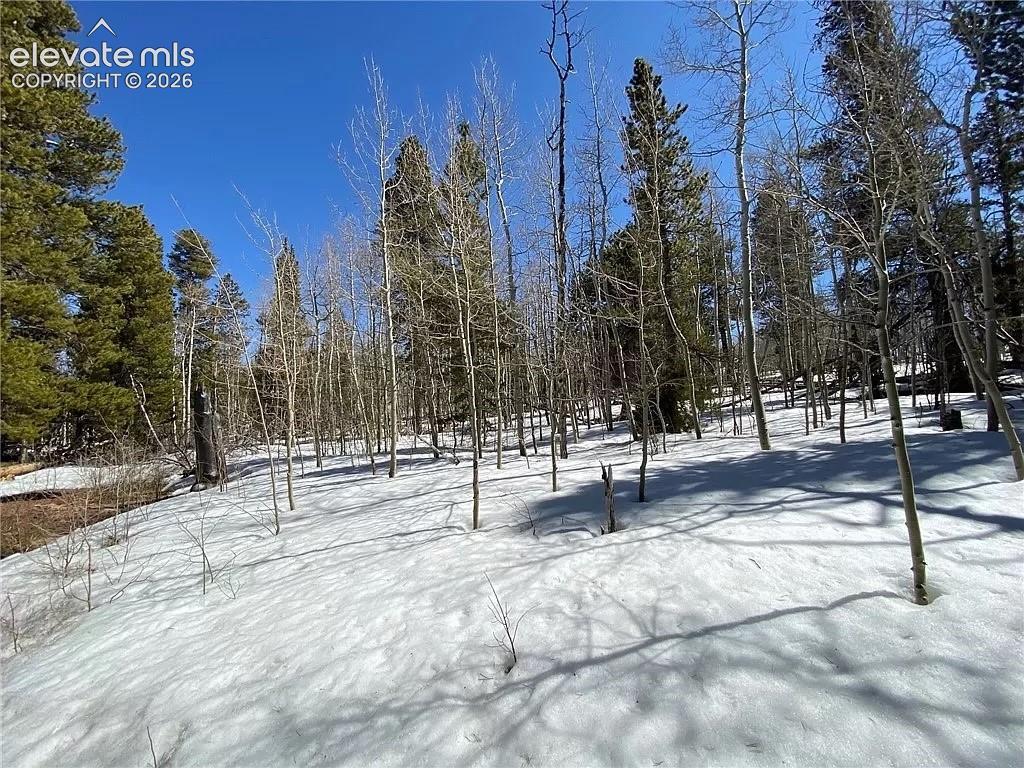 2202 High Creek Rd., Fairplay, CO 80440