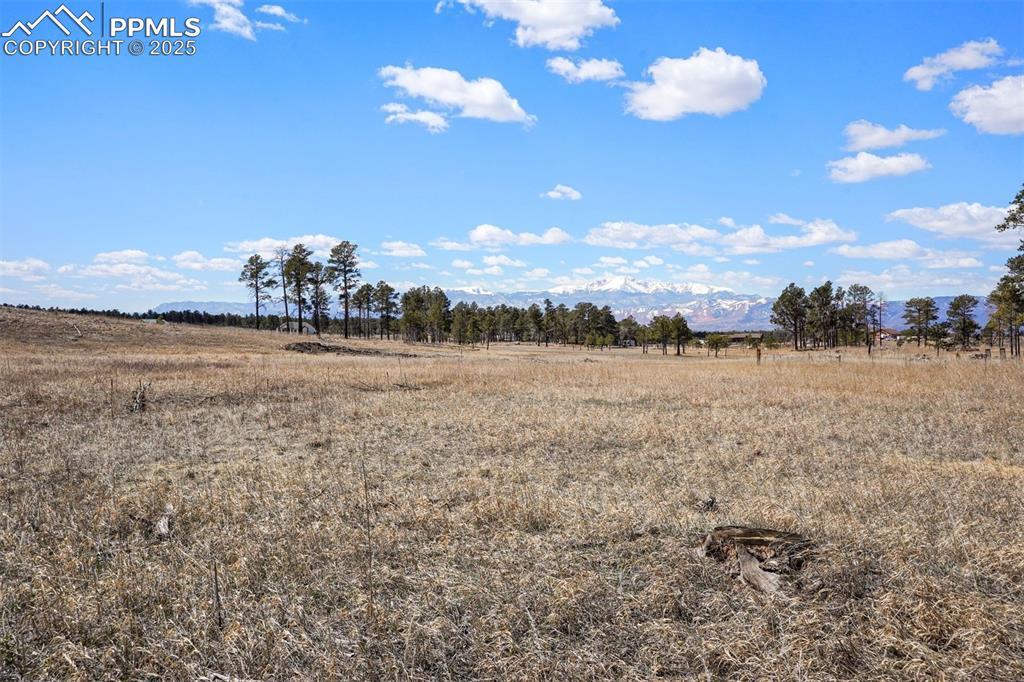 lot 1 Forest Heights Cir., Colorado Springs, CO 80908