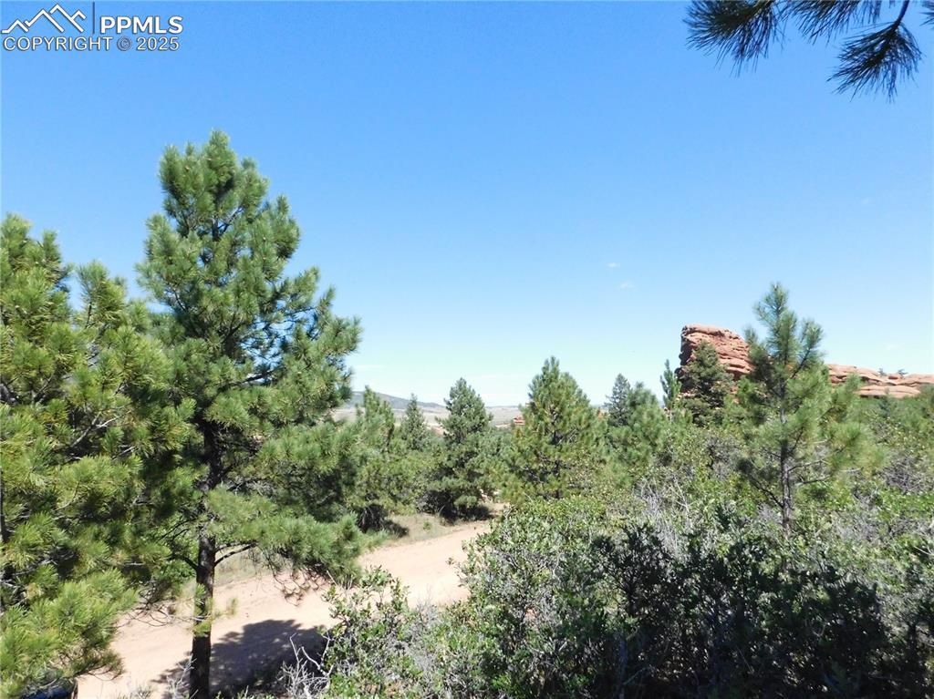 Lot 4 Thunderbird Rd., Larkspur, CO 80118