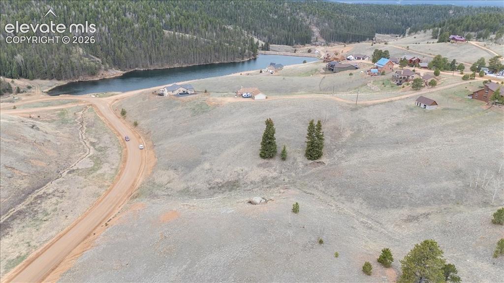 175 Twin Lakes Dr., Divide, CO 80814
