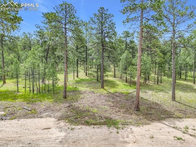 14671 Allen Ranch Rd., Colorado Springs, CO 80908