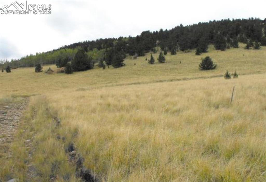 Unknown Dr., Cripple Creek, CO 80813