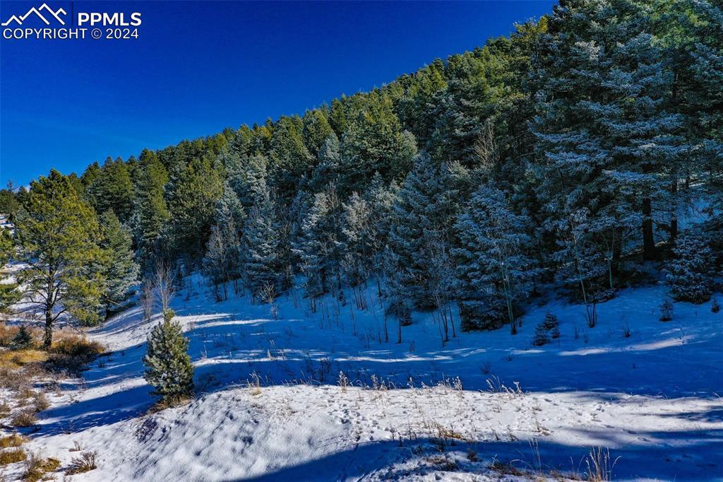 278 Penrose Cir., Cripple Creek, CO 80816