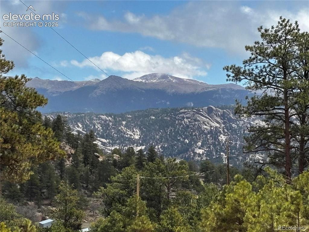 210 Crescent Dr., Florissant, CO 80816
