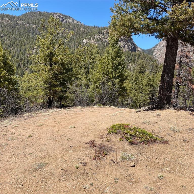 Little Turkey Creek Rd., Colorado Springs, CO 80926