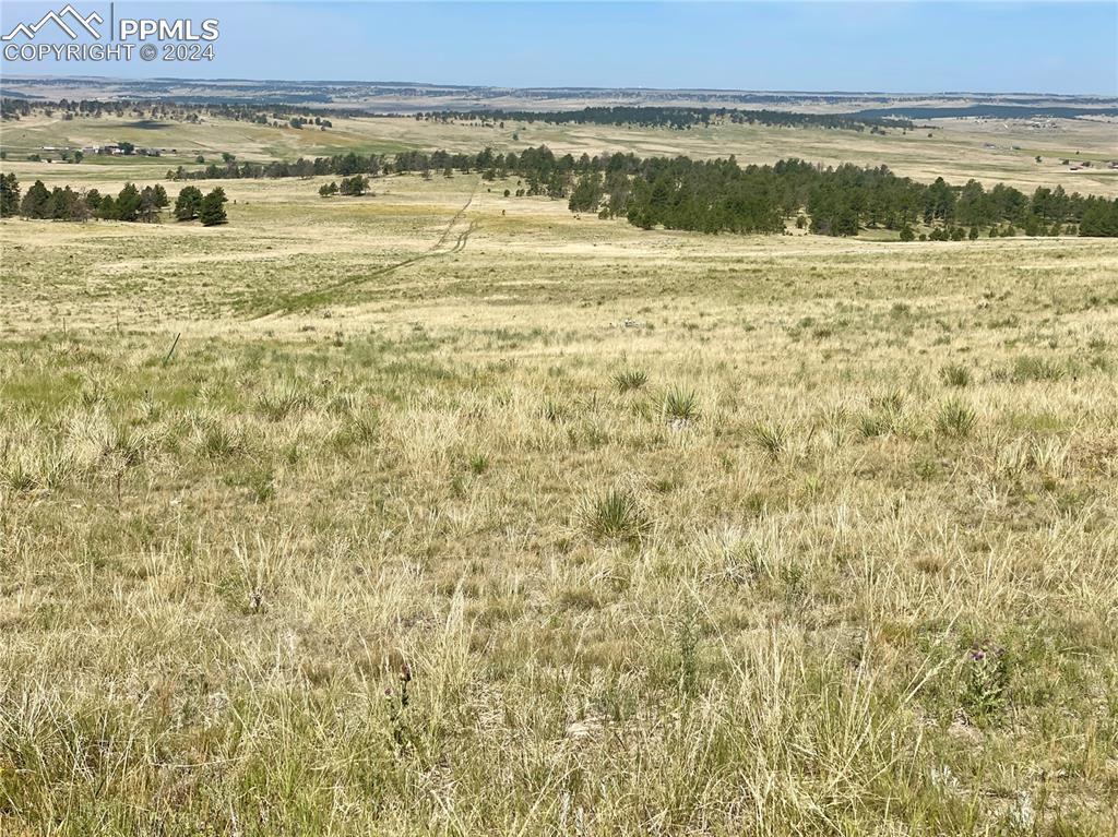 31963 Ridge Rd., Ramah, CO 80832