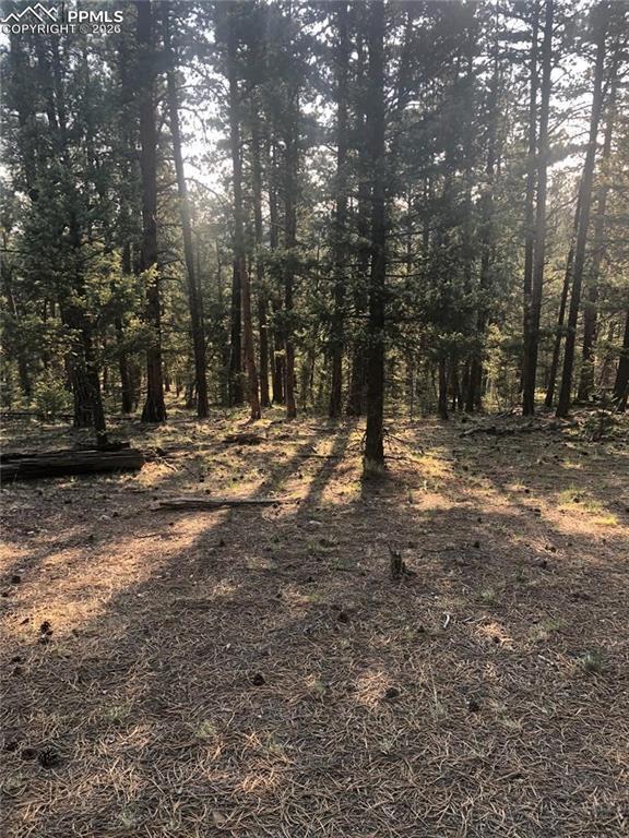 469 Echo Lake Dr., Lake George, CO 80827