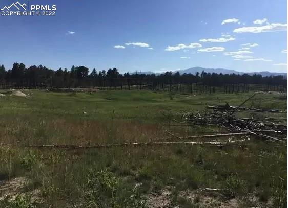 7779 Grace Hills Point, Colorado Springs, CO 80908