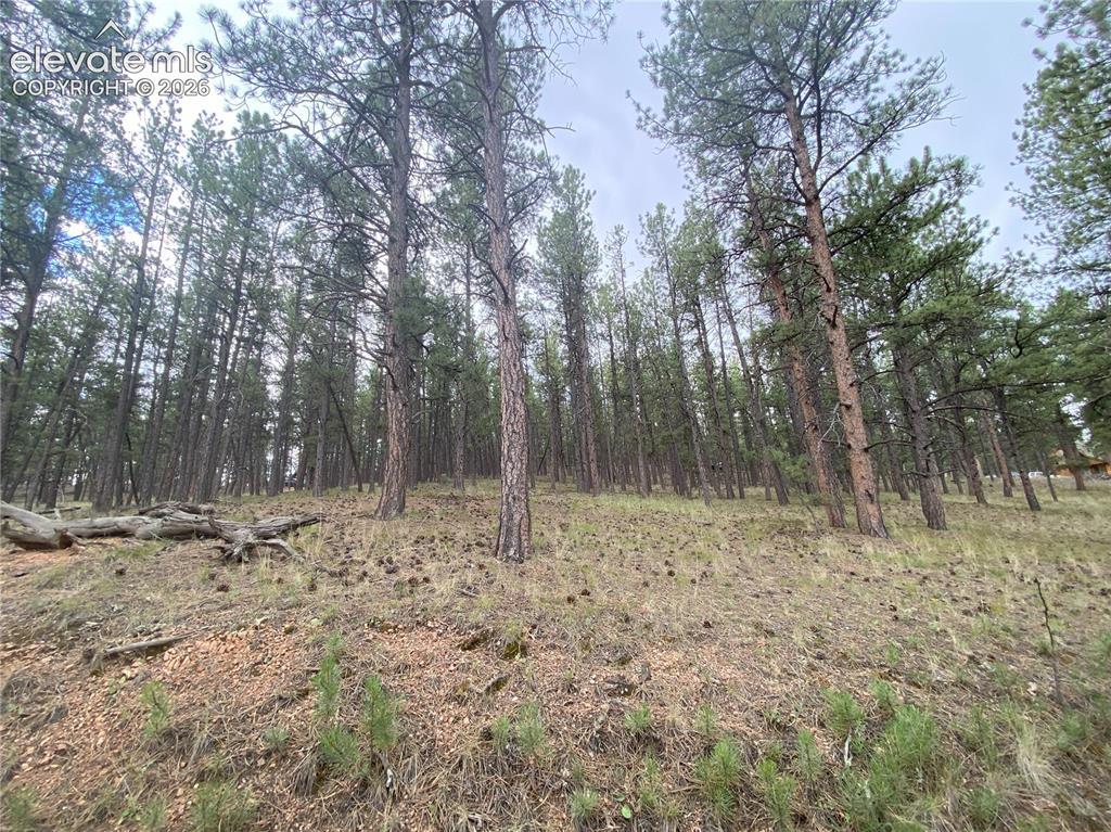 60 Pickens Rd., Florissant, CO 80816