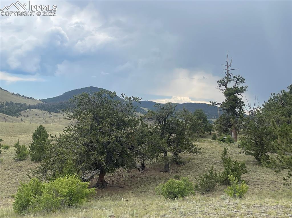 1991 Leonardo Ln., Hartsel, CO 80449