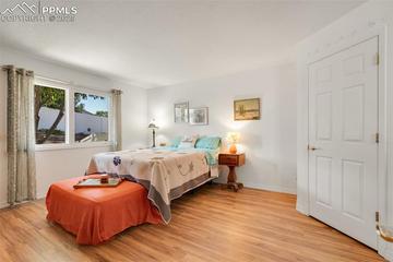 5119 Lewisia Point, Colorado Springs, CO 80917