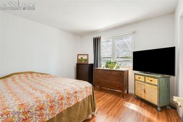 5119 Lewisia Point, Colorado Springs, CO 80917