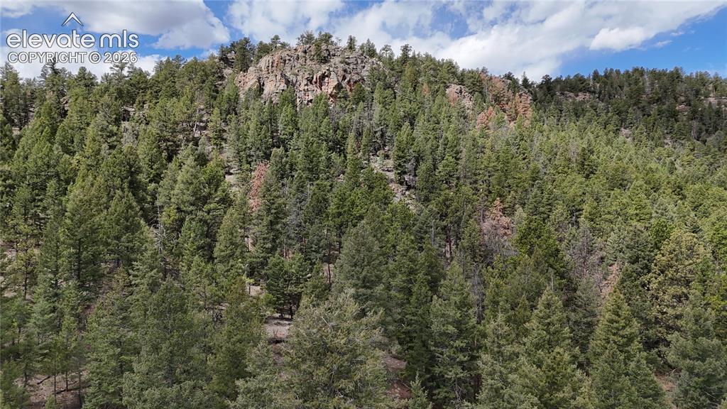 4943 County Road 11, Florissant, CO 80816