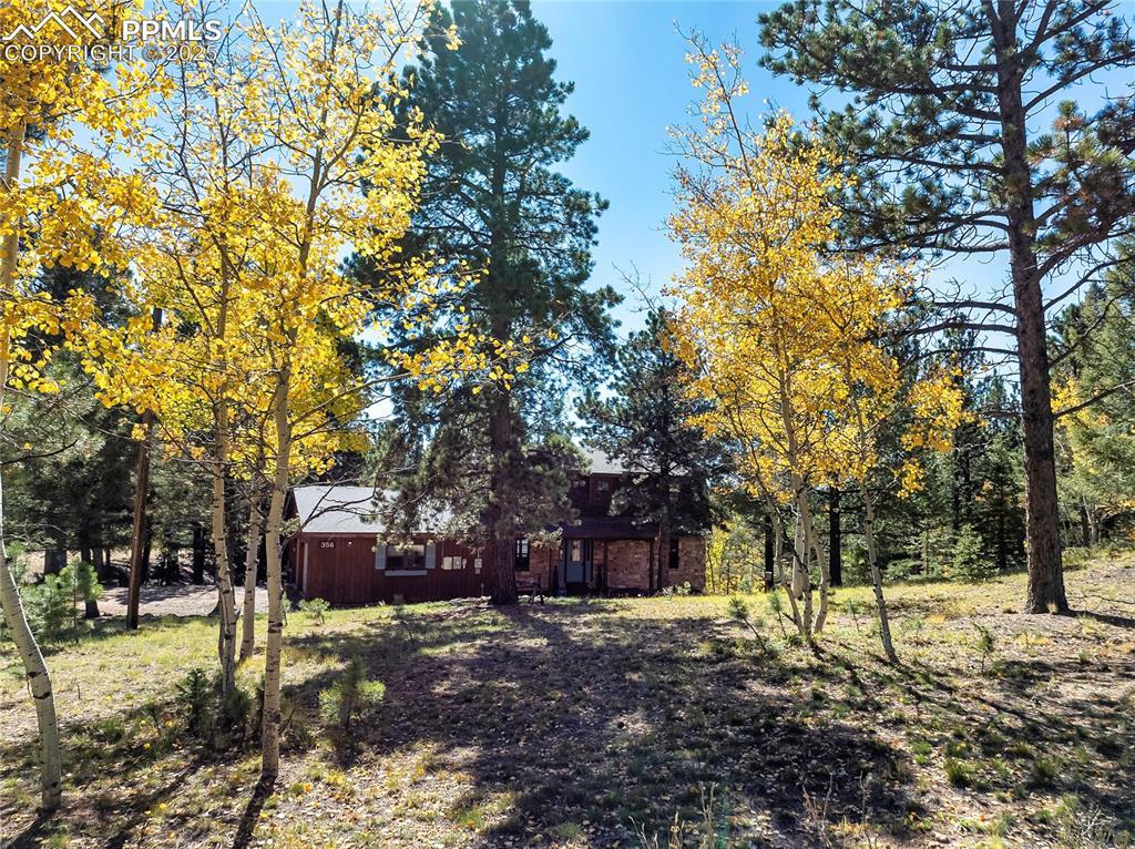 356 Spring Valley Dr., Divide, CO 80814