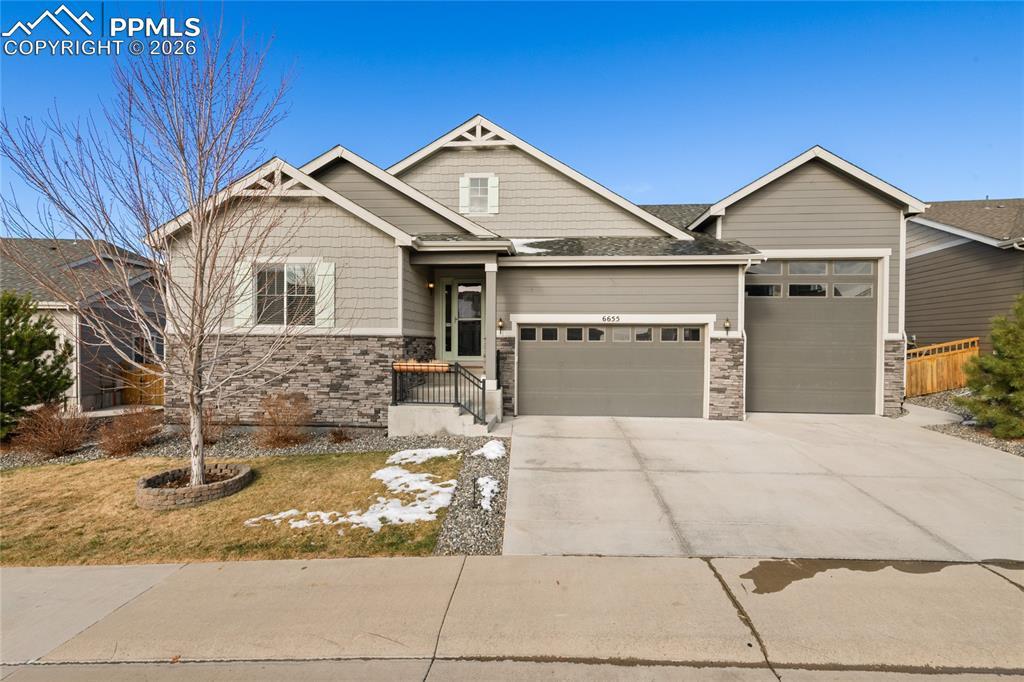 6655 Mentha Dr., Castle Rock, CO 80108