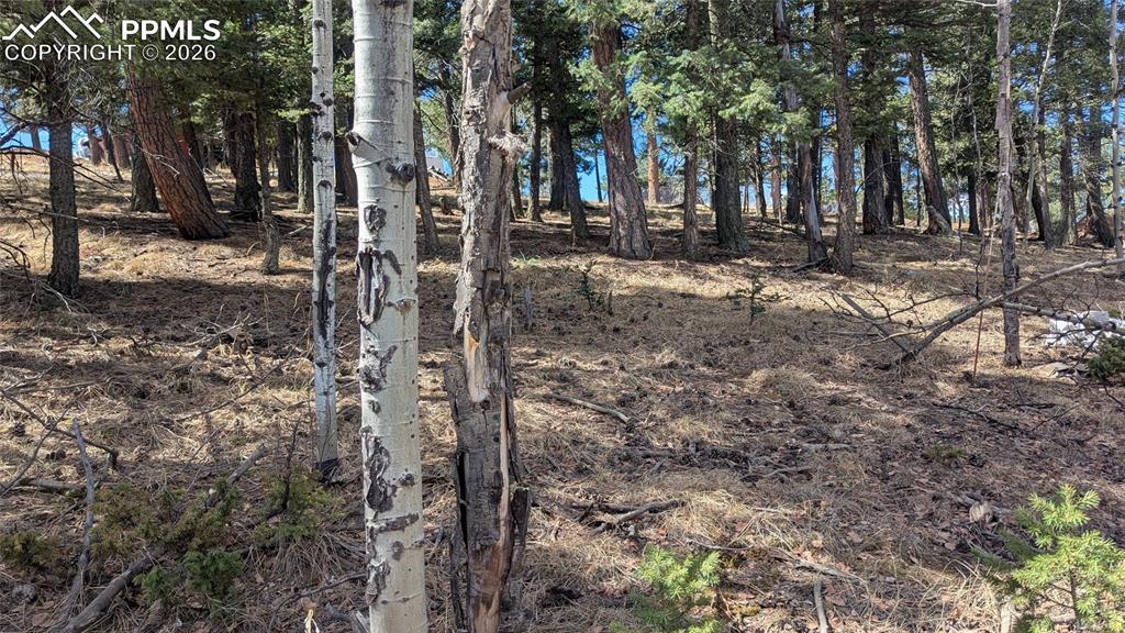 924 Will Scarlet Dr., Divide, CO 80814