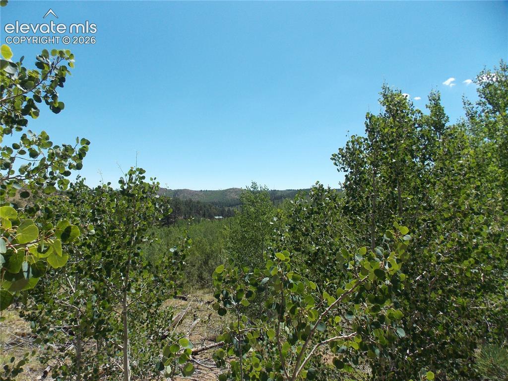 615 Valley Dr., Florissant, CO 80816