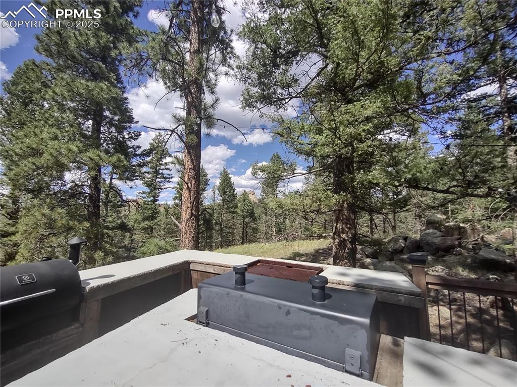 1176 Trail Creek Rd., Lake George, CO 80827