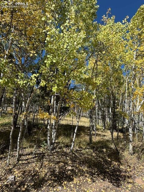 135 Powderhorn Ln., Lake George, CO 80827