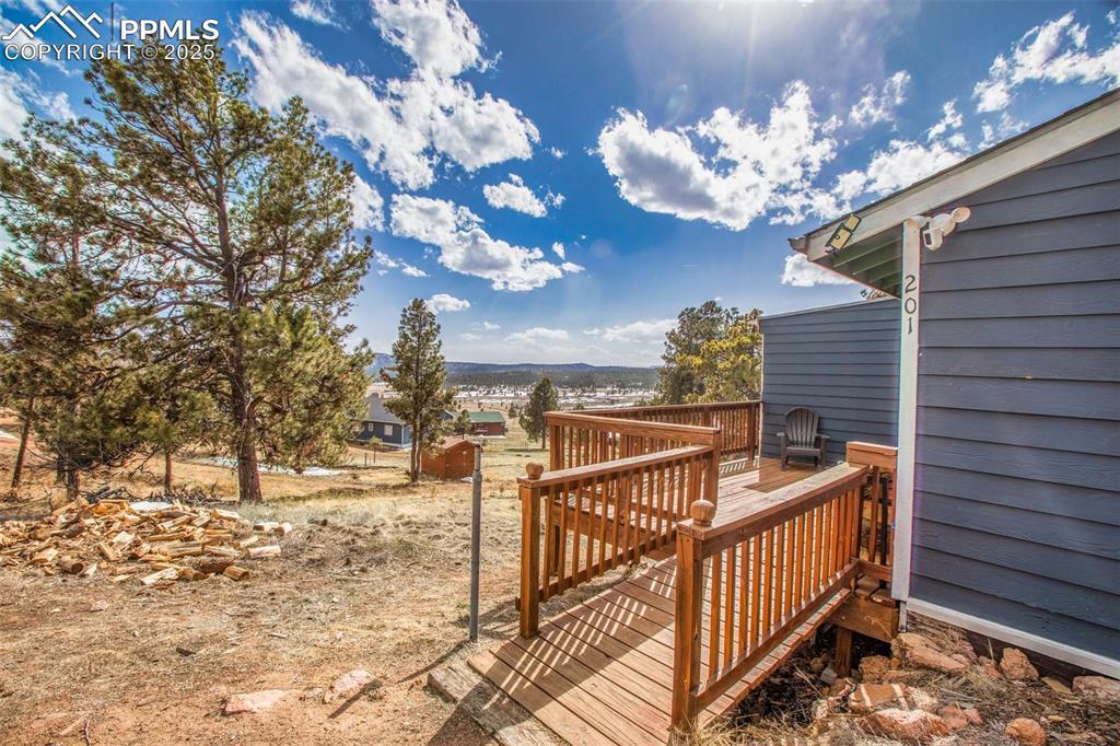 201 Dillon Ln., Florissant, CO 80816