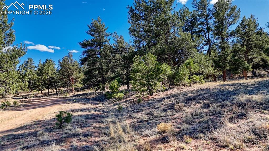Lot 5124 Arikara Tr., Hartsel, CO 80449