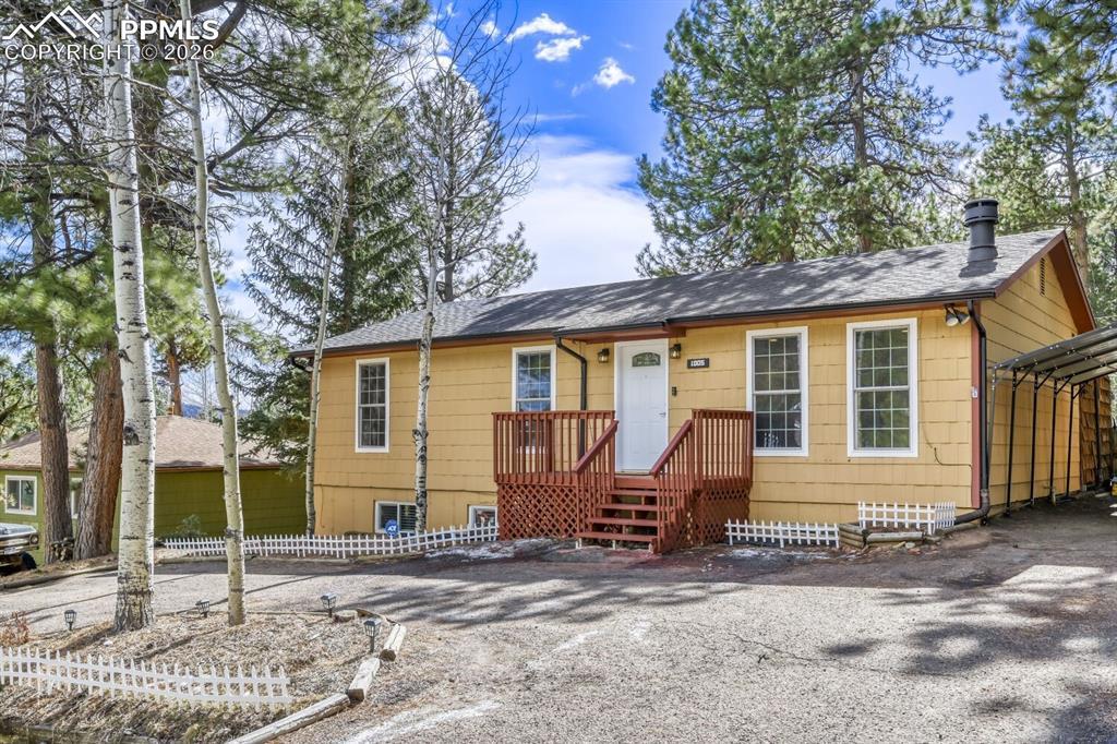 1005 W Browning Ave., Woodland Park, CO 80863