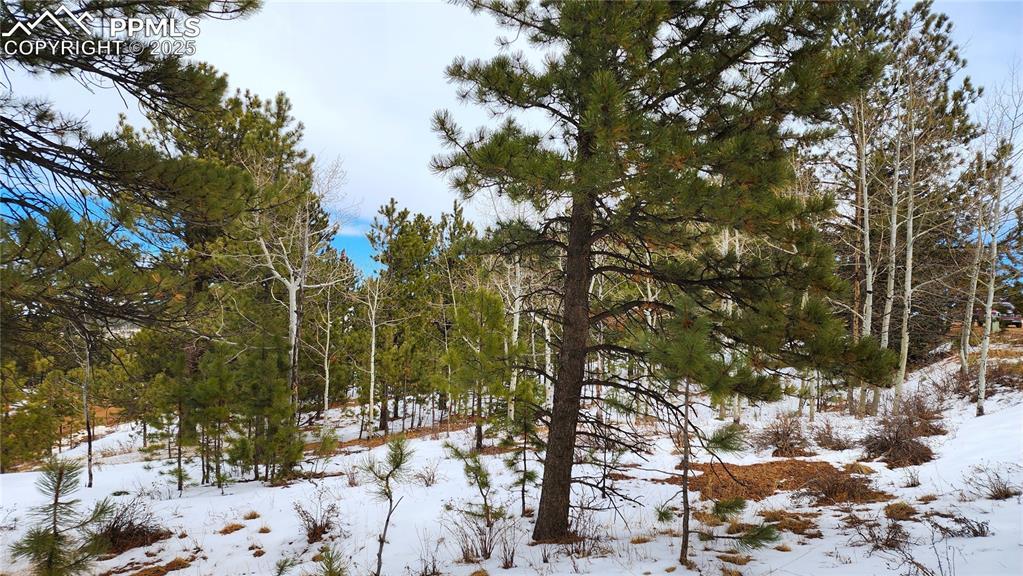 TBD Piney Point Ln., Woodland Park, CO 80863