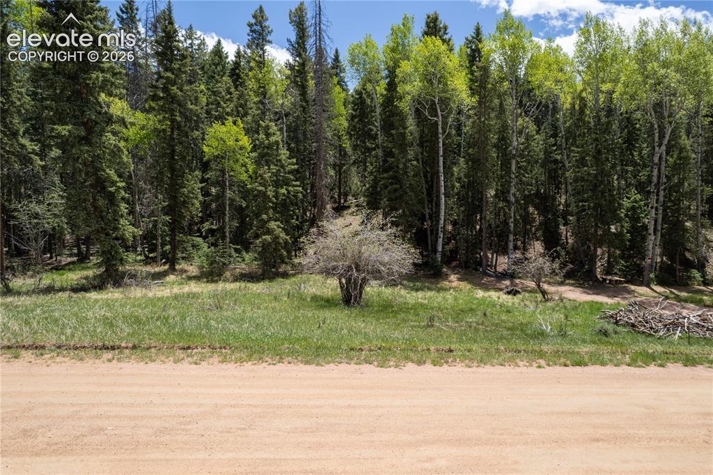 546 Spring Valley Ln., Florissant, CO 80816