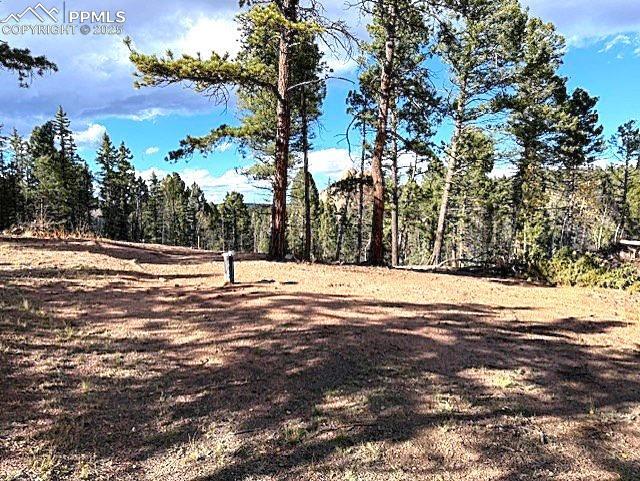 195 Oxford Pl., Florissant, CO 80816