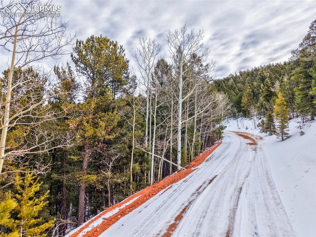 165 Witherite Dr., Divide, CO 80814