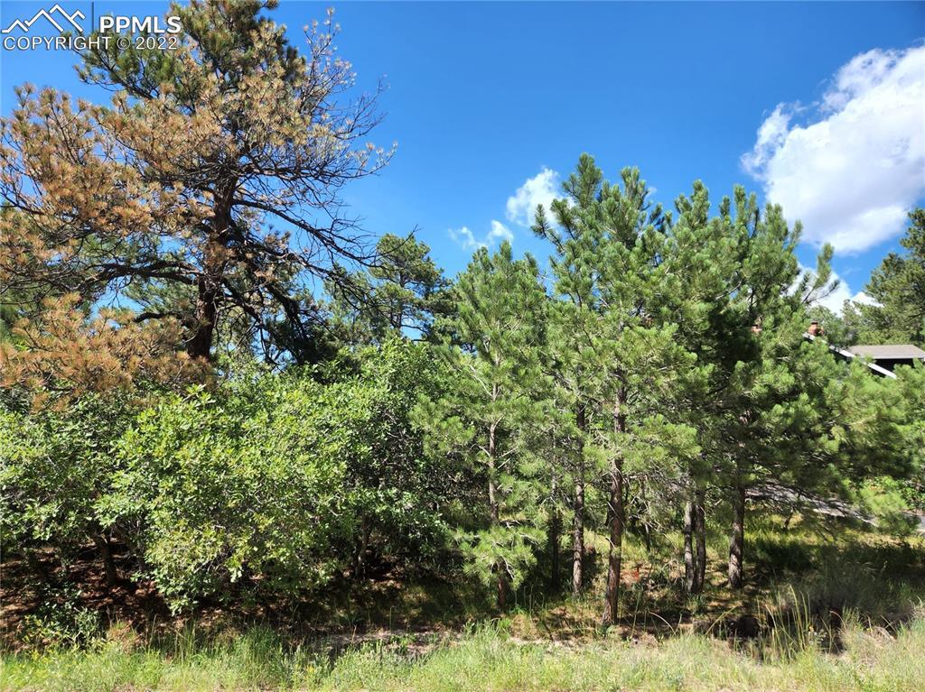 1010 Tari Dr., Colorado Springs, CO 80921
