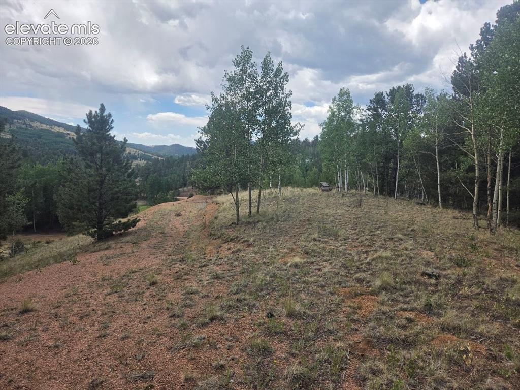 1124 Yorktown Rd., Cripple Creek, CO 80813
