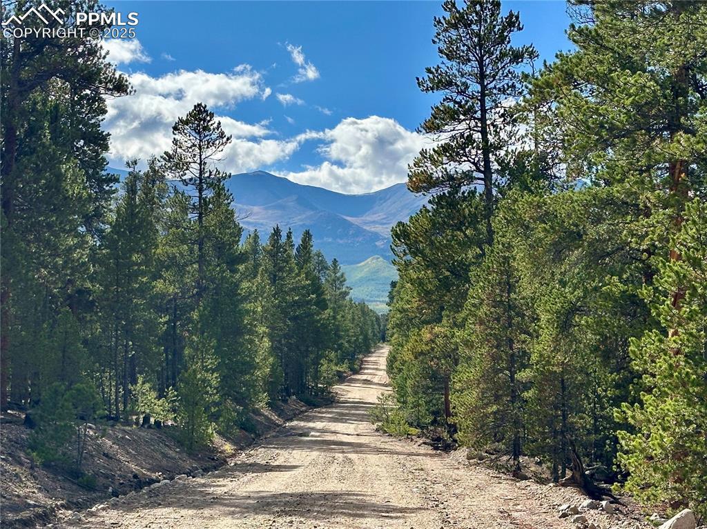 143 Fir Dr., Leadville, CO 80461