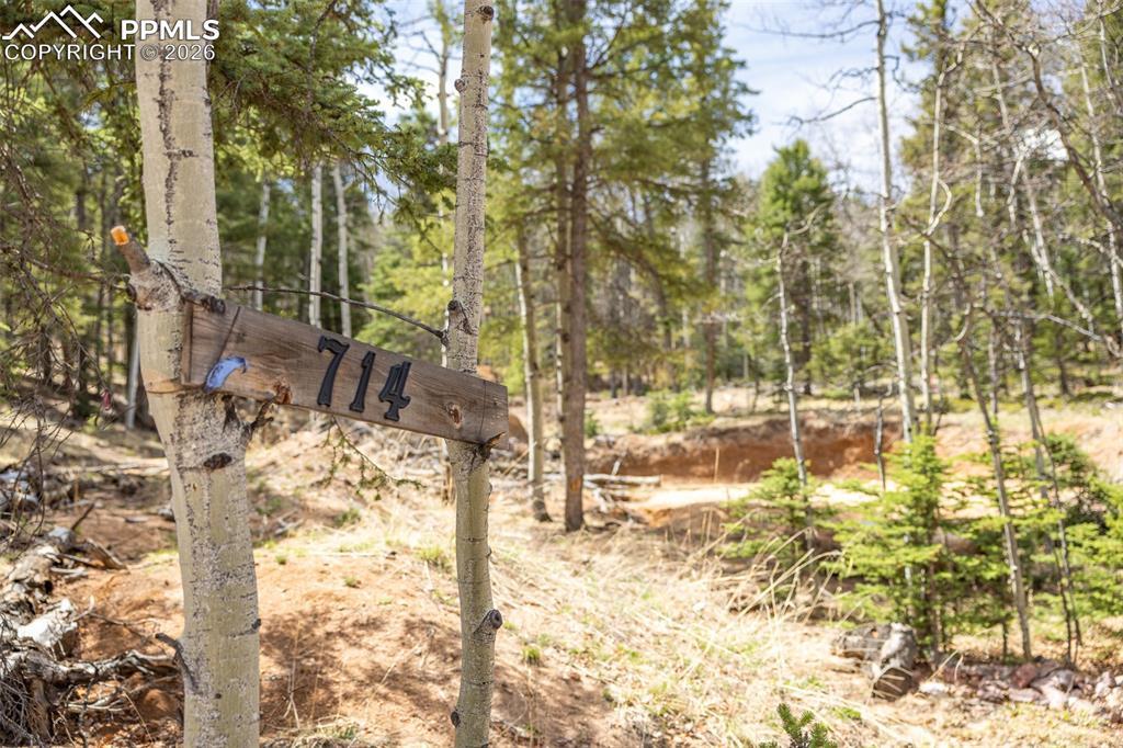 714 Will Stutley Dr., Divide, CO 80814