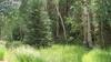 New Homes For Sale This Week in Cripple Creek: July 25th to July 31st