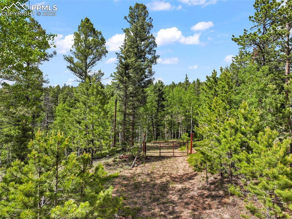 65 Spruce Creek Rd., Divide, CO 80814