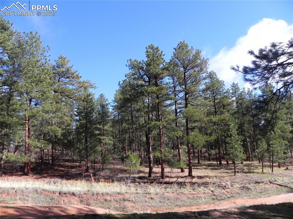 4467 Delaware Dr., Larkspur, CO 80118