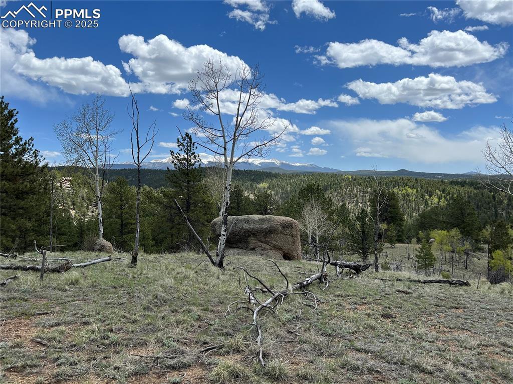 4687 W Highway 24, Florissant, CO 80816