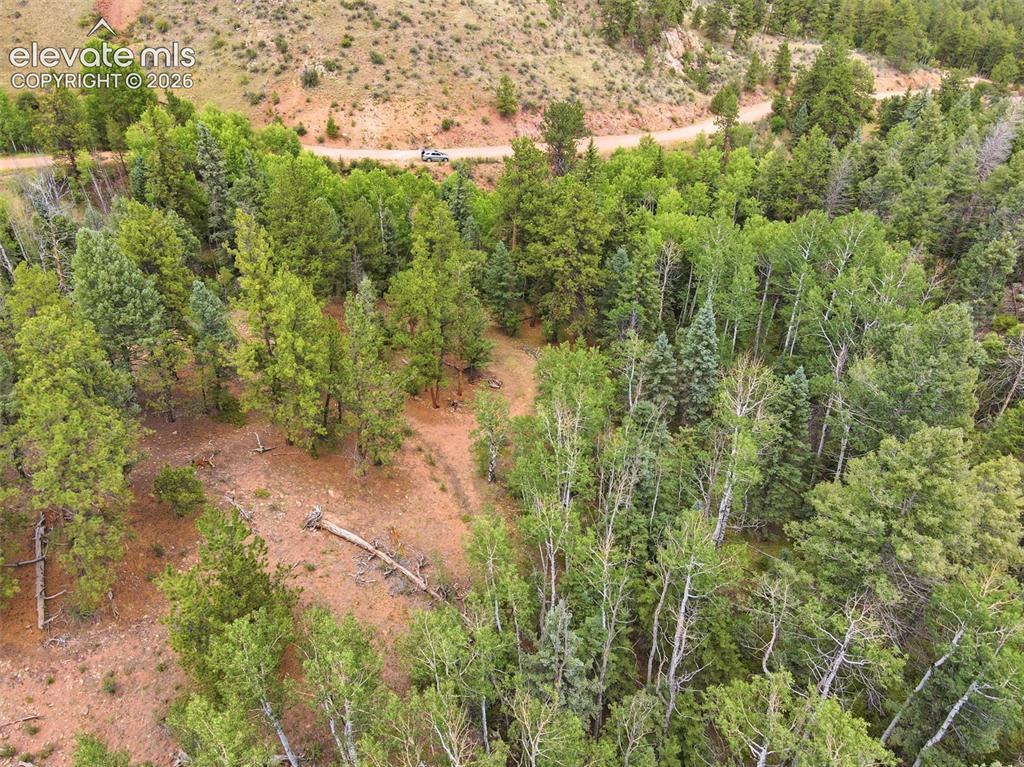 1310 Park Ridge Dr., Guffey, CO 80820