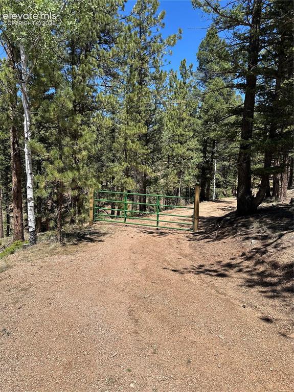 305 & 281 Midnight Ln., Florissant, CO 80816