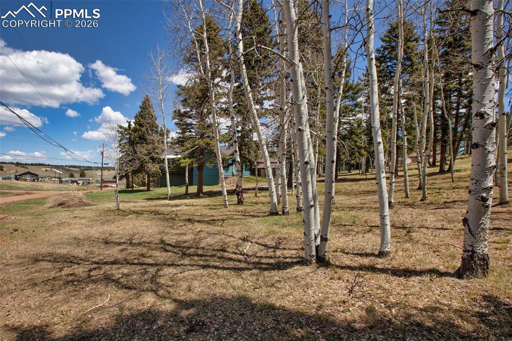 571 Will Scarlet Dr., Divide, CO 80814