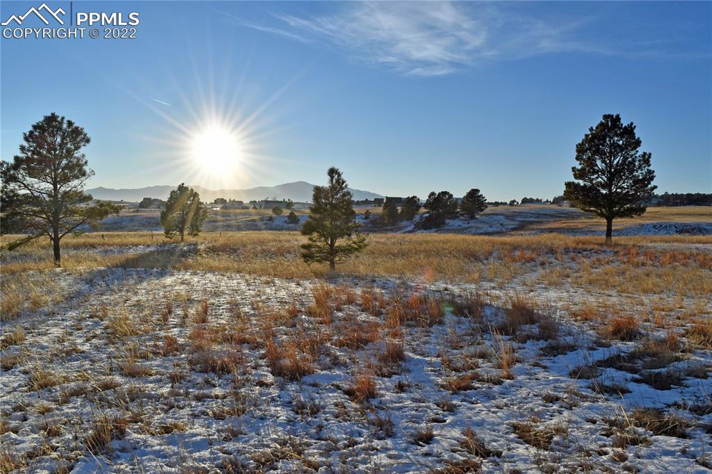 10050 Rodgwick Heights, Colorado Springs, CO 80908