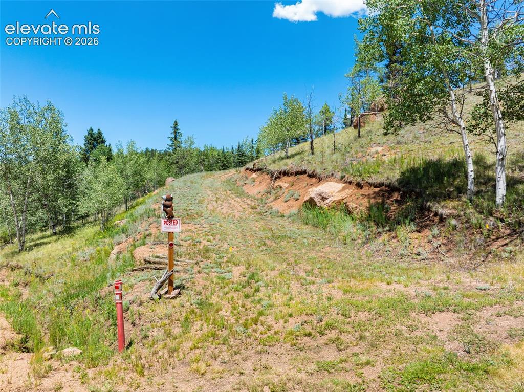 404 Morning Star Creek Tr., Florissant, CO 80816