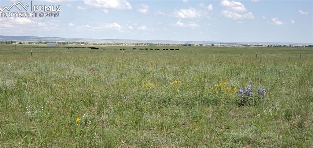 7183 Buckskin Ranch View, Peyton, CO 80831